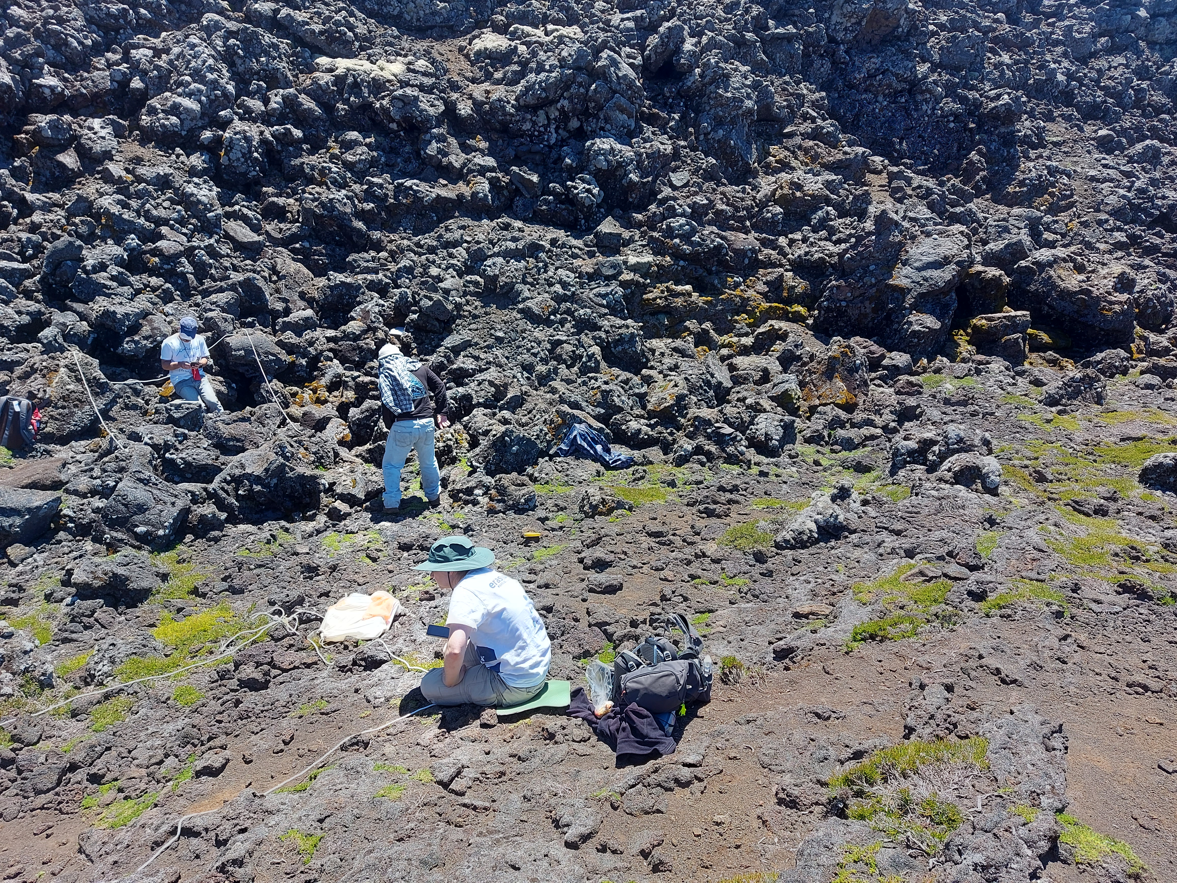 Field work at 2200 m a.s.l. (Photo Rui Elias)